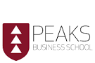 MBA Executive, PEAKS Business School